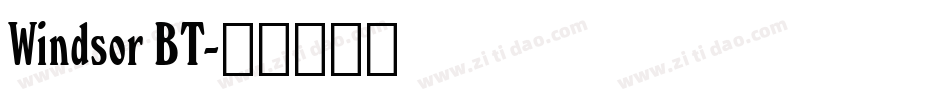 Windsor BT字体转换